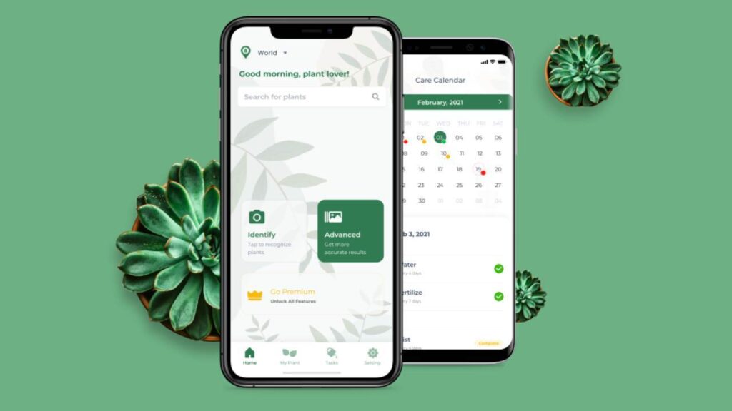 plant identifier app